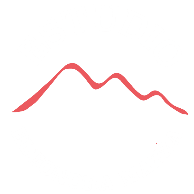 logo estudioeleonaramazza